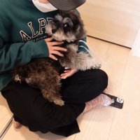 さっそくお膝の上へ