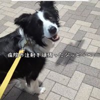 パパ「好きなもの食べていいよ」
