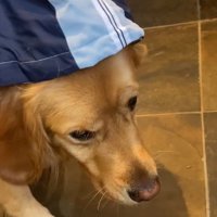 拗ねたならちゃん