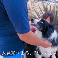 唸り始めるまろ君