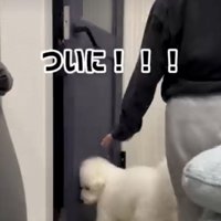 ドアが開く瞬間