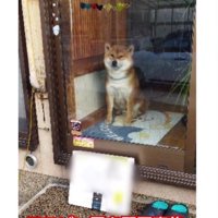 置き配とおいも君