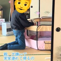 お父さんに撫でられるキャシーちゃん
