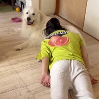 それでも愛おしいドレミちゃん
