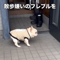 その場で小さくピョンッ