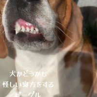 とんでもない顔に！！