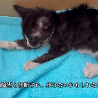 先は長くないと宣告された