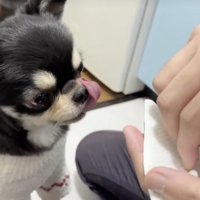 「まだある？」