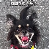 生後11か月になったころ…