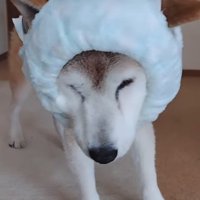 愛情を感じます♡