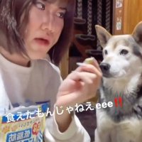 「食べていい？」と聞く飼い主さん
