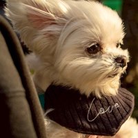 美しい横顔にうっとり