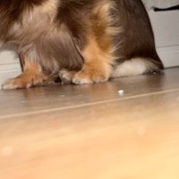 おしゃぶりを探していると…