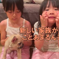 素敵なサプライズにホッコリ
