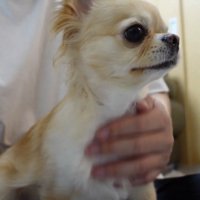 寂しくて甘えているようです