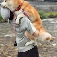 おはるちゃんを抱きなおすパパ