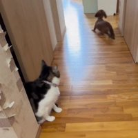 思わず腰が抜ける