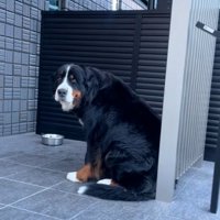 声をかける飼い主さん