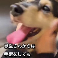 このまま歩けない可能性も…