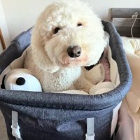 くつろぎはじめた♡