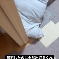 足元