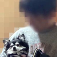 その間にも絆は深まる