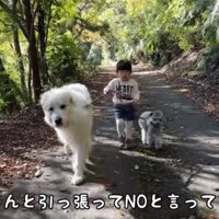 シュシュちゃんをたしなめるろのちゃん