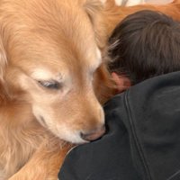 「すぐ仲直りできるよ」