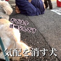 気配を消すてんぽさん
