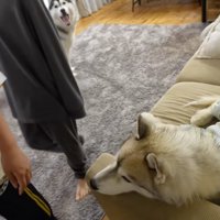 リビングを出て行く男の子たち