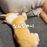 「これなんなの～！！」