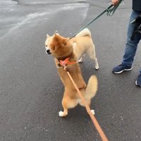 飛びついてハグ♡