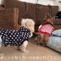 知人に預けられるも…