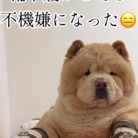 「これ……履かなきゃダメ？」