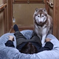 通れなくて困るウノちゃん