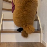 ぴょんっと飛び乗ってきました♪