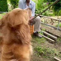 おじいちゃんがイタズラ