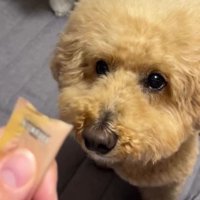 おやつを食べるレオちゃん