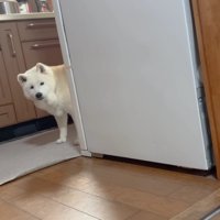 ご飯できたかな？