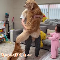 うにくんが抱っこを催促