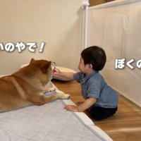 仲良しで微笑ましい♪