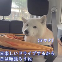 動物病院へ行くことに