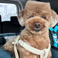 「これが僕のマイスタイル」