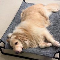 今でも昼寝が大好き♡