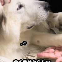 口から薬が出てきた