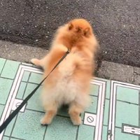 逃亡を図る！？