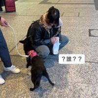 「誰？」と匂いをクンクン…