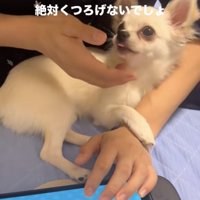 みるくん、嬉しそう