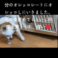 おむつを付けたけれど…