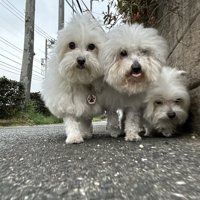 ぴったり